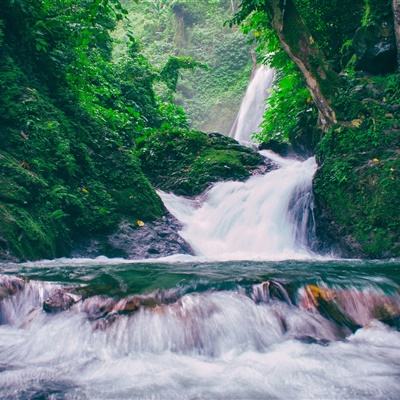 自在西游游戏下载